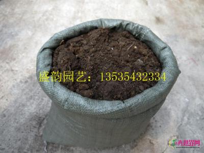 东北泥炭土